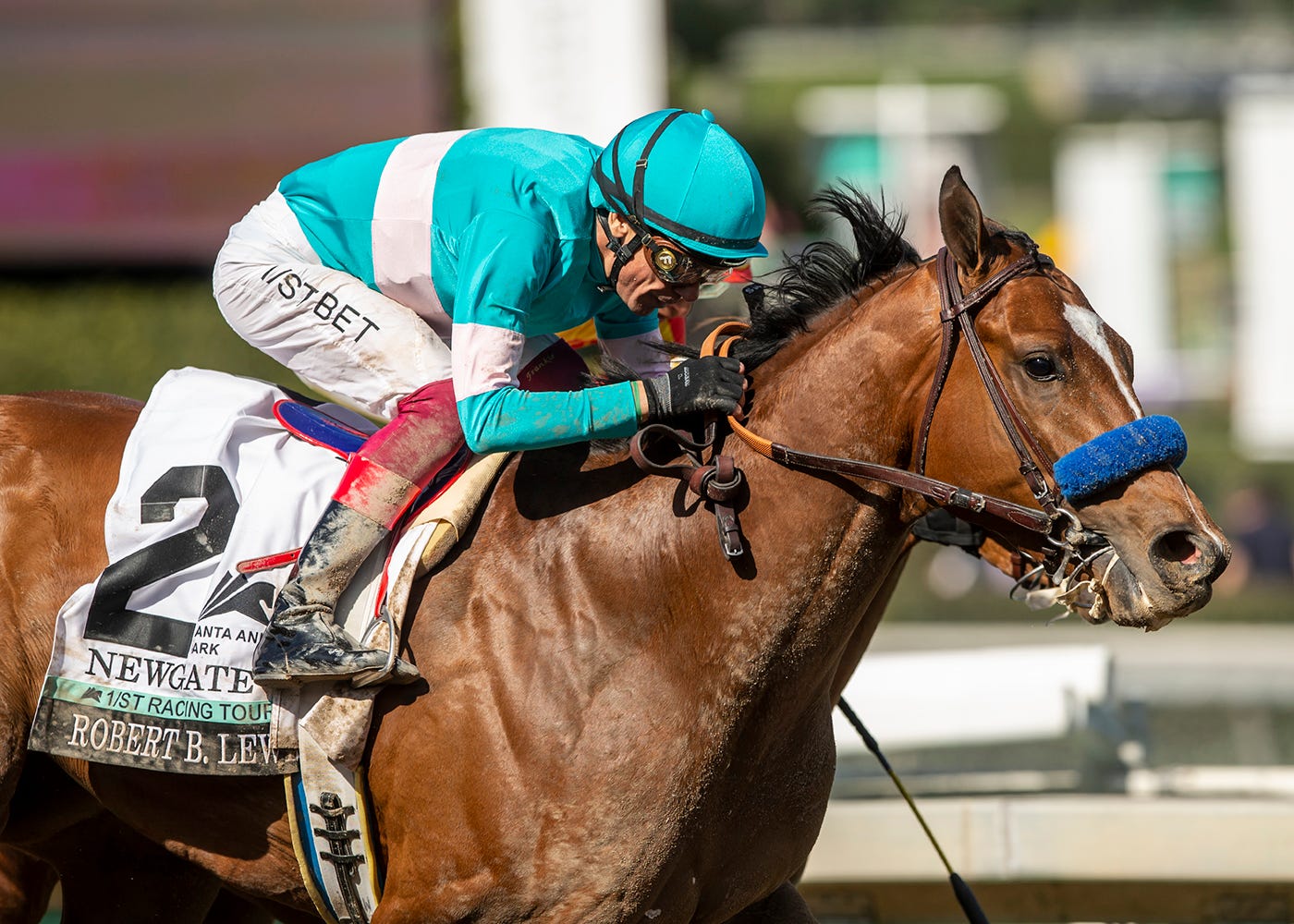 Road to the 2023 Kentucky Derby Robert Lewis Stakes analysis